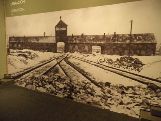 Liberation of Auschwitz.